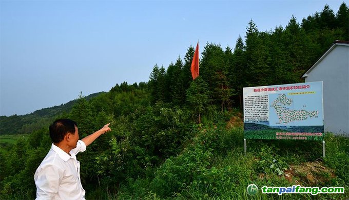 河南新縣推進(jìn)碳匯交易 探索生態(tài)扶貧新路徑