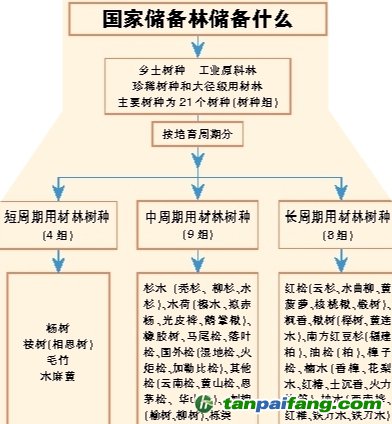 國家儲備林，儲備我們的未來