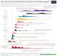 【數(shù)據(jù)】蛋白質(zhì)的碳足跡：什么食品的溫室氣體排放最少？