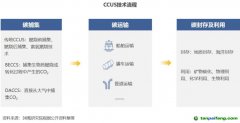 2022 年中國碳捕集、利用與封存（CCUS）洞察報告