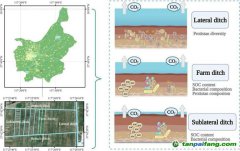 研究揭示影響不同級別農(nóng)田溝渠碳排放的關(guān)鍵機(jī)制