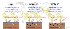 西南大學(xué)最新研究給出糧食增產(chǎn)與凈碳減排“雙贏(yíng)”路徑