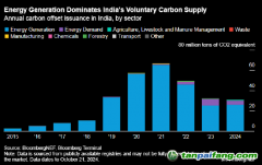 報(bào)告：印度碳市場面臨未使用能源碳信用過剩的風(fēng)險