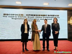 巴西環(huán)境部長：全球南方國家應緊密團結 共促COP30氣候承諾加速落地